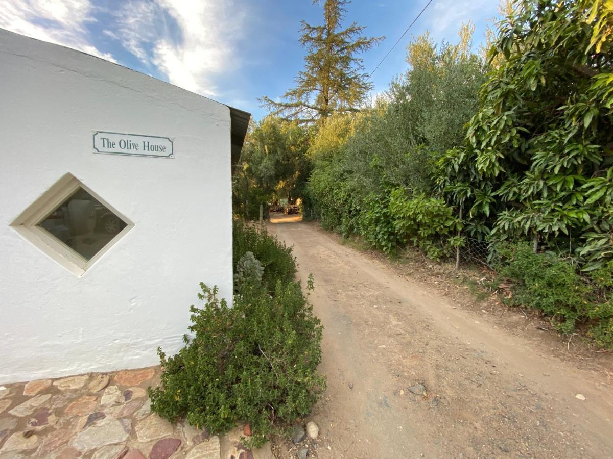 The Olive House, Prince Albert Exterior photo